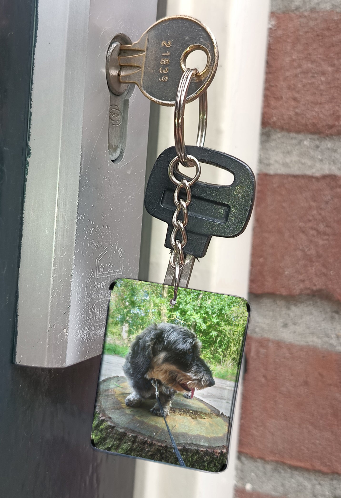 Een blijvende herinnering aan je trouwe viervoeter – ideaal als cadeautje! <<MEER INFO>>